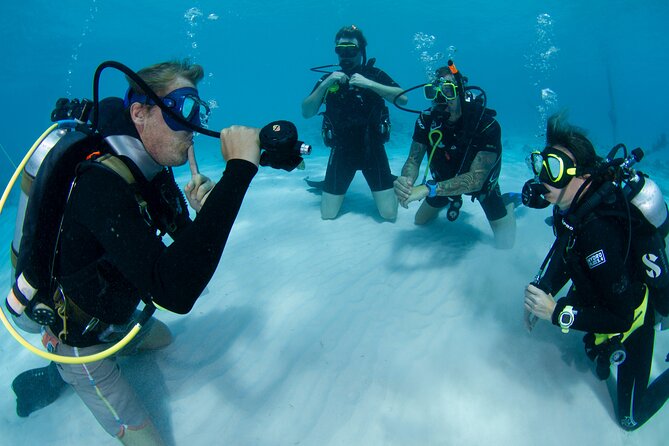 PADI Open Water Course in Curacao - Key details before you book