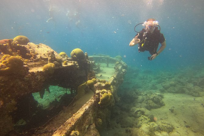 PADI Open Water Course in Curacao - Four open-water sessions on Curacao’s reefs
