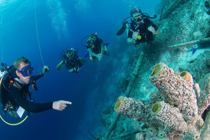 PADI Open Water Course in Curacao - Finish the theory before your Curacao holiday