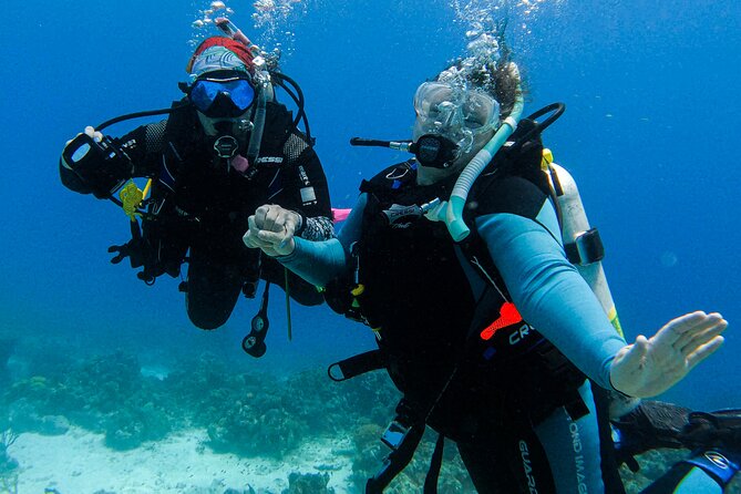 Personalized 2 Tank Guided Experience in Curaçao - Key points to know before booking