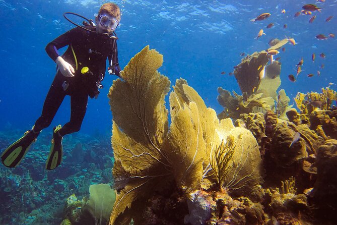 Personalized 2 Tank Guided Experience in Curaçao - Why the small group matters in Curaçao