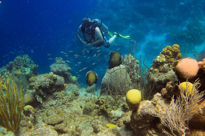 Personalized 2 Tank Guided Experience in Curaçao - The surface interval: water, cookies, and a second plan