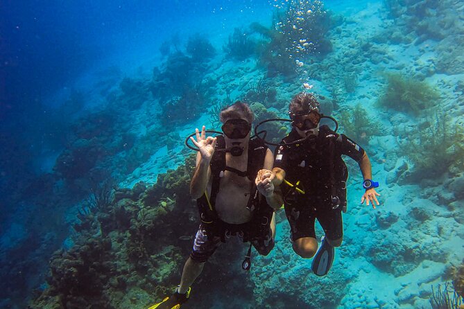 Personalized 2 Tank Guided Experience in Curaçao - Is $155 a fair price?