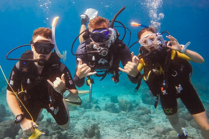 Personalized Discover Scuba Dive Experience in Curaçao - A Calm Introduction at Curaçao’s Shore