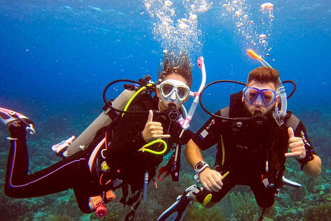 Personalized Discover Scuba Dive Experience in Curaçao - Pickup From Hotels and the Cruise Port