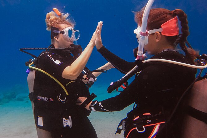 Personalized Discover Scuba Dive Experience in Curaçao - Who Will Enjoy This Most