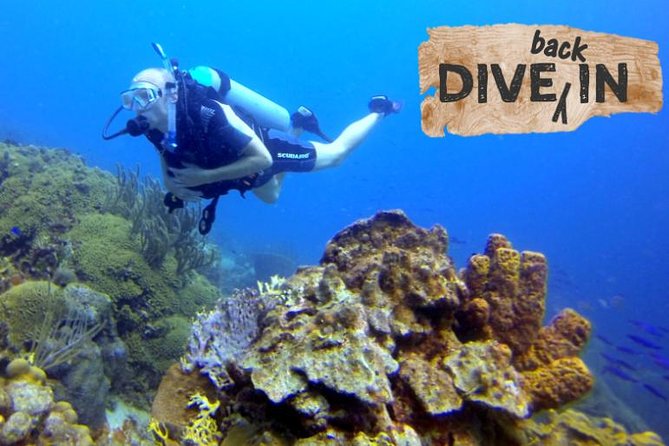 Refresher Dive - Key points at a glance