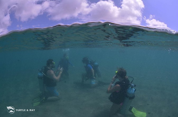 Refresher Dive - Who should book this refresher