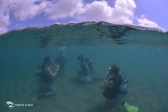 Refresher Dive - Practicing in the sandy bay