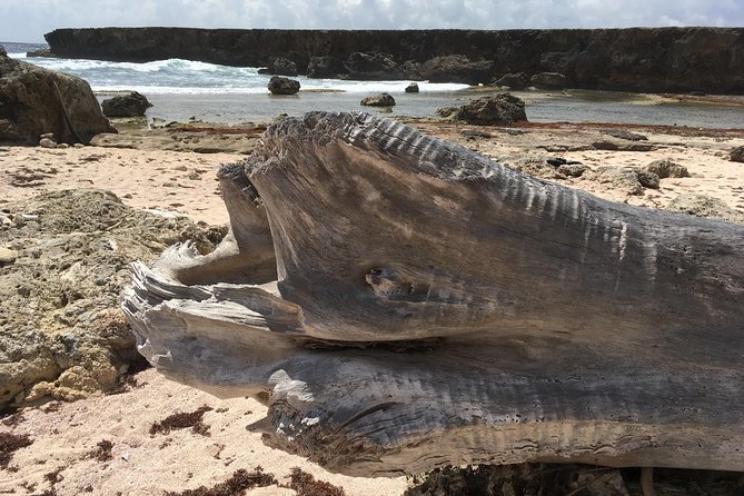 Snorkel and Beach Adventure Tour - Shete Boka National Park: caves, spray, and the north shore