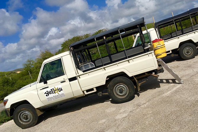 Snorkel and Beach Adventure Tour - Who will get the most from the $108.98 price