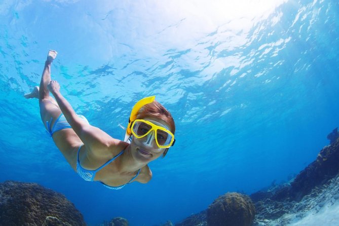 Snorkel and Beach Adventure Tour - Playa Piskado: the main turtle snorkeling stop