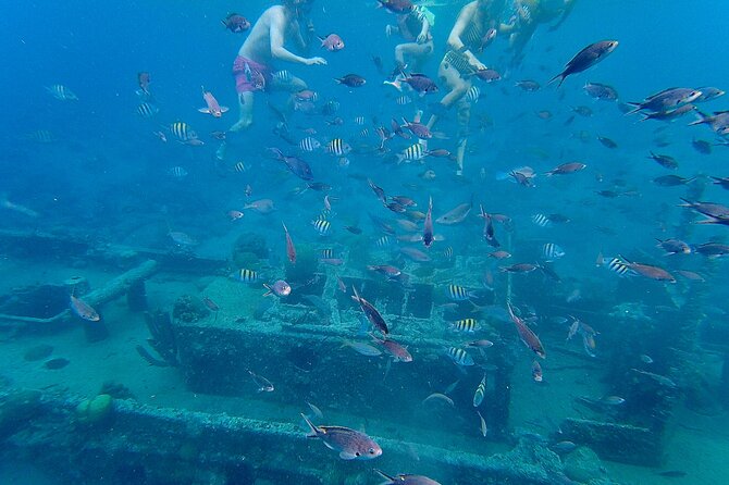 Snorkel boat trip: Sunken ship, old dutch fort & spanish bay - Meeting at Marichi Pier and planning the day