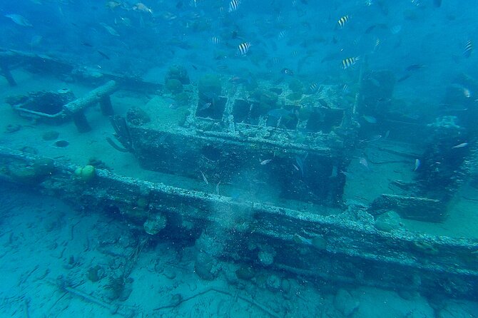 Snorkel boat trip: Sunken ship, old dutch fort & spanish bay - Who will enjoy this Curacao boat trip most