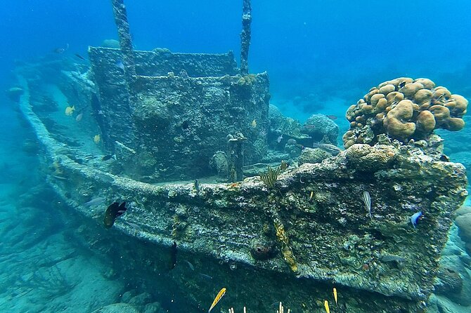 Snorkel boat trip: Sunken ship, old dutch fort & spanish bay - Booking details and cancellation rules