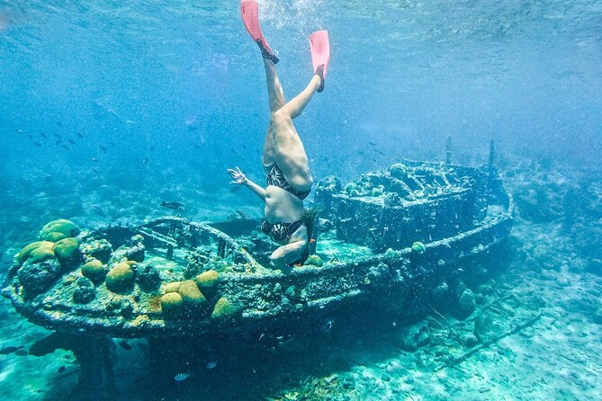 Snorkel Cruise with BBQ Lunch and Open Bar - A half-day cruise from Caracas Bay