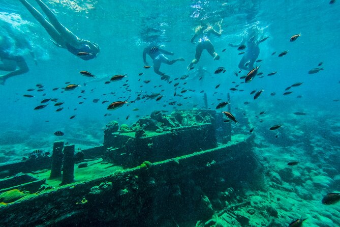 Snorkel Hopping Full Day Trip with F&B - Three Curaçao snorkeling sites in one five-hour outing