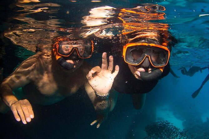 Snorkel Shore Trip with Scubaçao "East Point" - Starting at Scubaçao’s shop