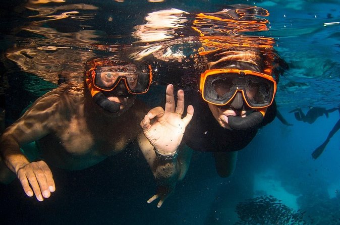Snorkel Shore Trip with Scubaçao "East Point" - A beach picnic, not a big meal