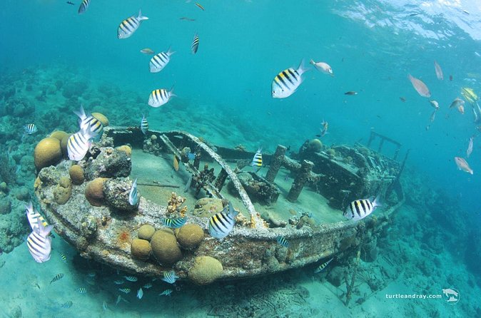Snorkel Shore Trip with Scubaçao "East Point" - Fort Beekenburg and Spanish Water views