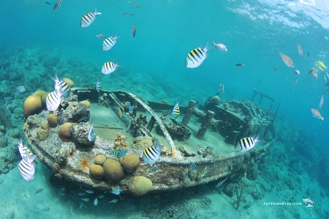 Snorkel Shore Trip with Scubaçao "East Point" - How the five-hour schedule works