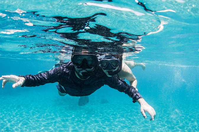 Snorkel Shore Trip with Scubaçao "East Point" - Who will enjoy this outing most
