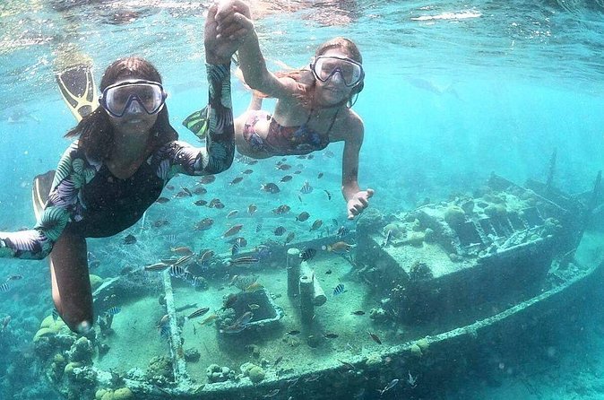 Snorkel Shore Trip with Scubaçao "East Point" - Is Scubaçao’s East Point trip worth $110?