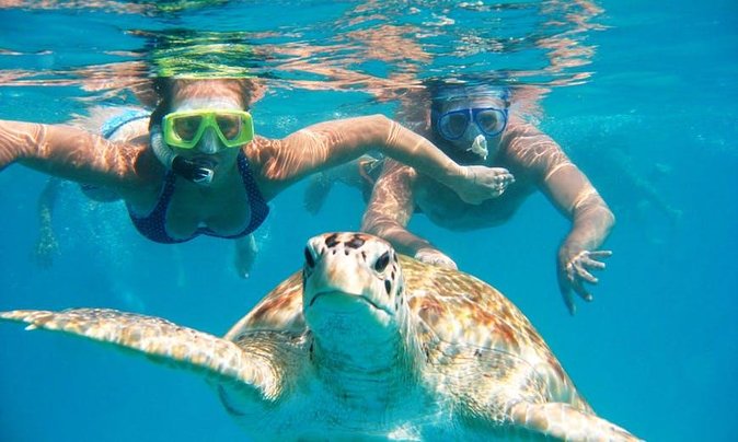 Snorkel Tour in Curacao - Key things to know before you book