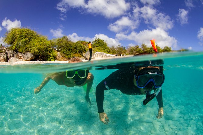 Snorkel Tour in Curacao - Tugboat Beach and the appeal of shore snorkeling