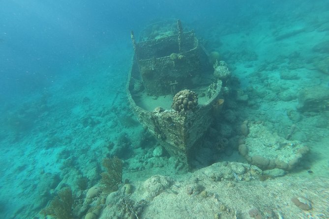 Snorkel Tour in Curacao - Why the guides matter for beginners