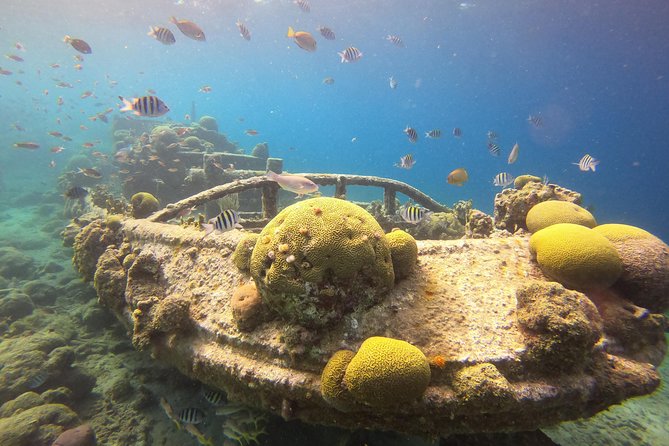 Snorkel Tour in Curacao - Director’s Beach and the coral sites