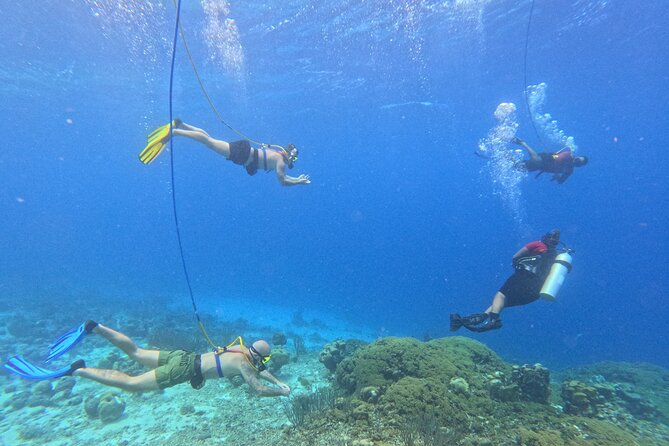 SNUBA Adventure in Curacao - Guided Shallow Dive - Key points to know before booking