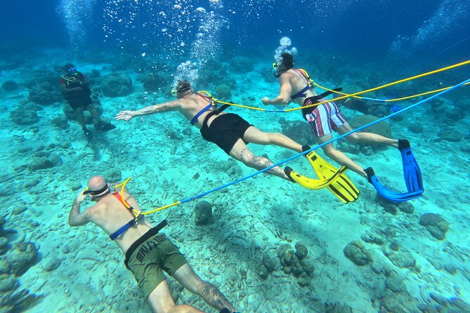 SNUBA Adventure in Curacao - Guided Shallow Dive - What the 90-minute outing is likely to feel like