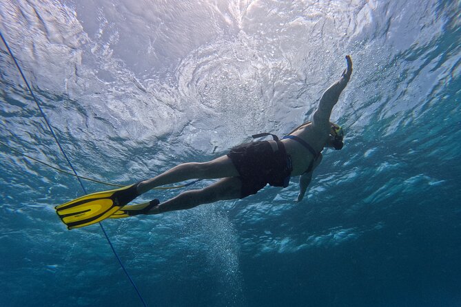SNUBA Adventure in Curacao - Guided Shallow Dive - Entering the water and the basic shore setup