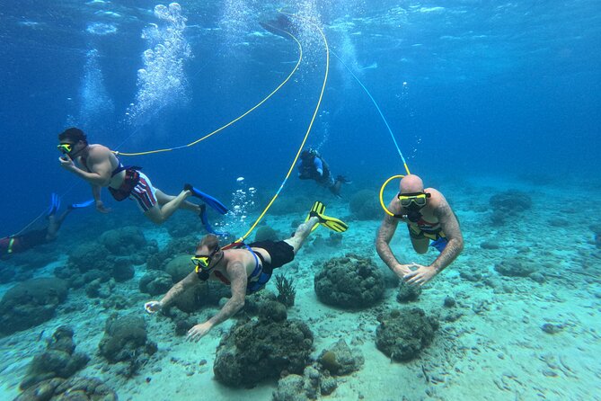 SNUBA Adventure in Curacao - Guided Shallow Dive - Booking, cancellation, and weather details