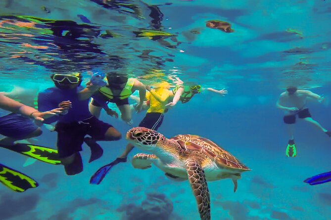 Swim with Turtles at Turtle Bay, Curacao: Boat, Blue Room Cave - What the speedboat ride is really like