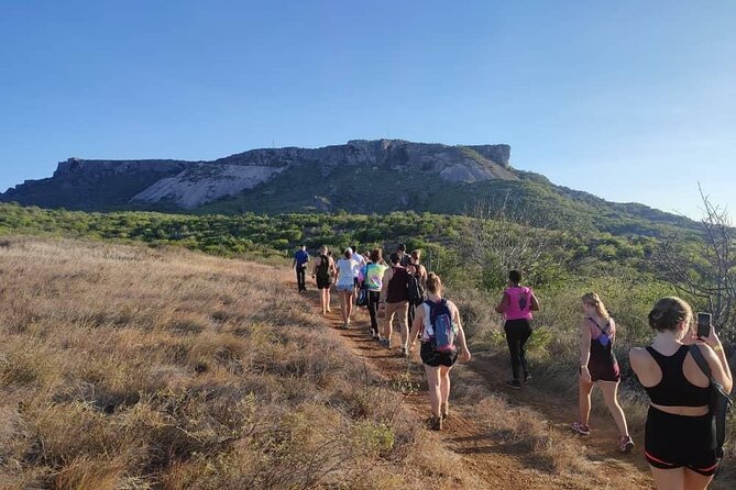 Tafelberg Hiking Experience - Booking, cancellation, and timing details