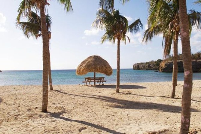 The Curacao Full Day Private Tour Experience - Beaches, swimming, and the wild turtles at Playa Grandi