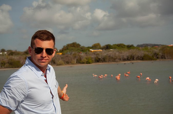 Turtles, Beach and Flamingo in Curacao Private photoshoot Tour - Sint Willibrordus closes the day with flamingos