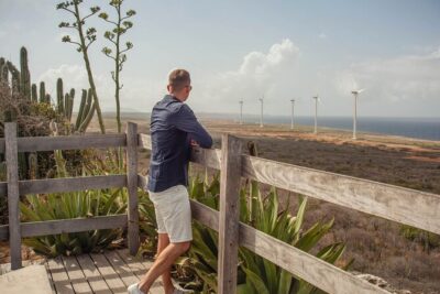 Turtles, Beach and Flamingo in Curacao Private photoshoot Tour
