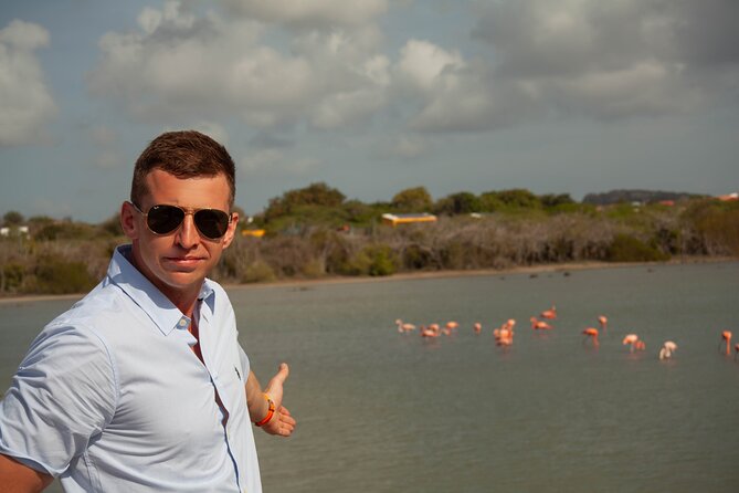 Turtles, Beach and Flamingo in Curacao Private photoshoot Tour - Drinks are covered, but plan your own food