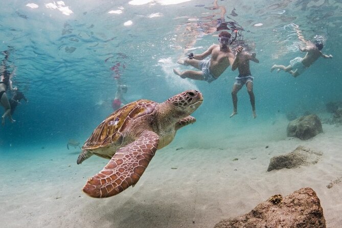 Ultimate Full-Day Private Tour: Discover all Curacao highlights - Why this private Curaçao day works well
