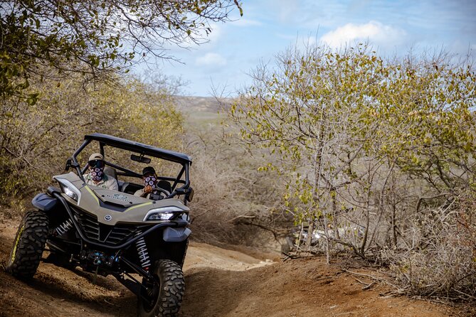 UTV Buggy and Snorkeling Tour in Willemstad Curacao - Flamingos, open country, and the return toward the sea