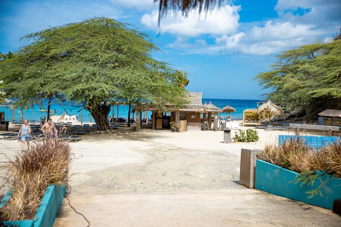 UTV Buggy and Snorkeling Tour in Willemstad Curacao - The guides and the tone of the ride