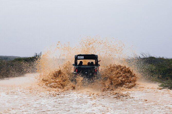 UTV Buggy Expedition in West Coast - What the $229 price really covers