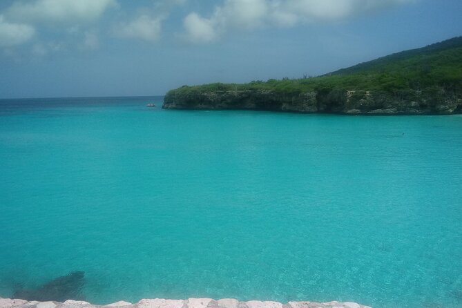 Western snorkel & swim Trip - What the guide adds to the day